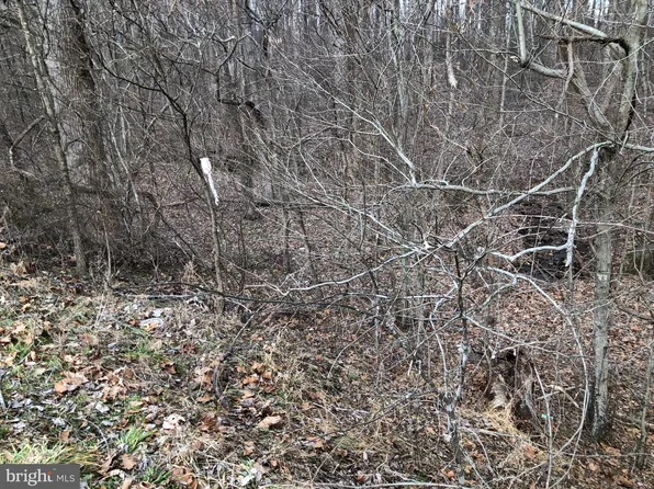 LOT 1 Alum Springs Rd, Rixeyville, VA 22737