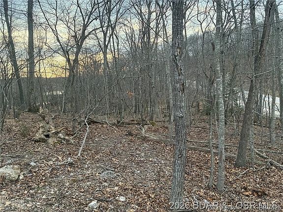 2nd image of 116 Veronica Ln