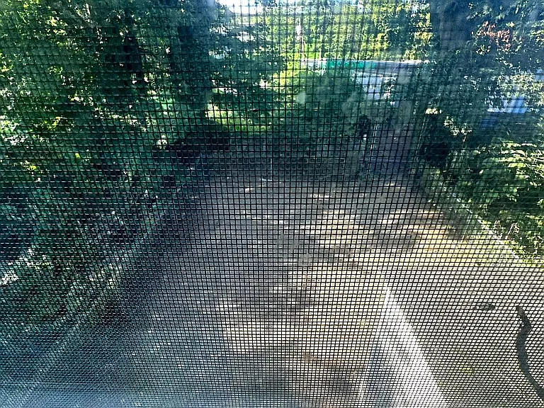 3 bed, $2,100 — Photo 4