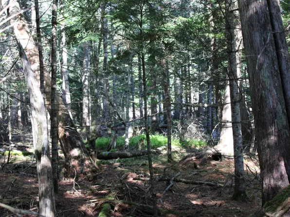 0 Mariaville Road, Mariaville, ME 04605