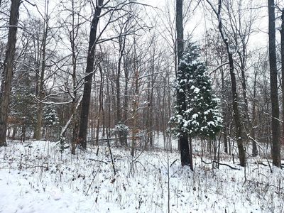 Dogwood Acres Dr, Williams, IN, 47470