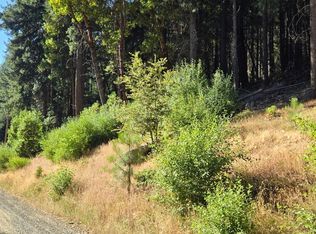 17450 Antelope Dr E, Pioneer, CA 95666