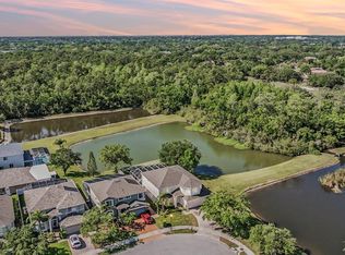417 Ventura Dr, Oldsmar, FL 34677
