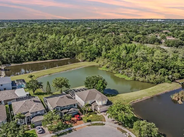 417 Ventura Dr, Oldsmar, FL 34677