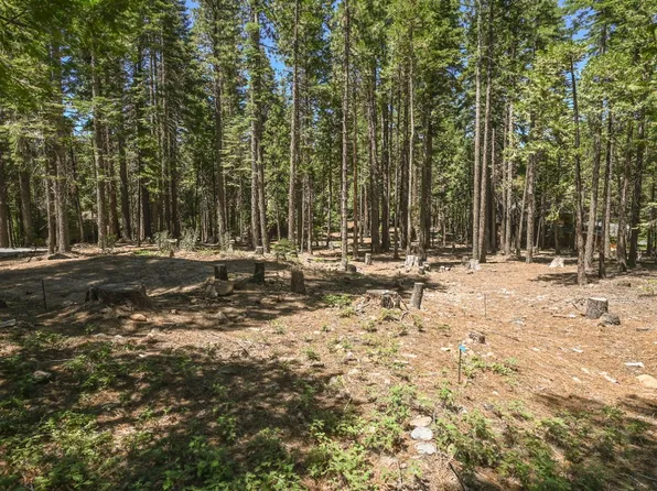 3301 Bigfoot Cir, Arnold, CA 95223