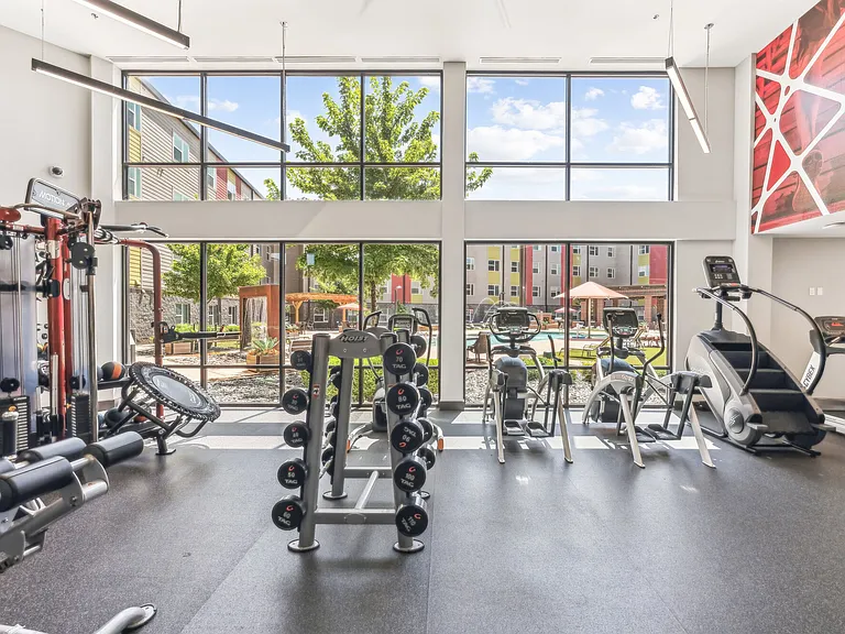 Free Weights