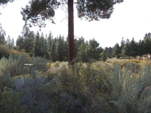 B 44 Duke Dr Lot 17, Chiloquin, OR 97624