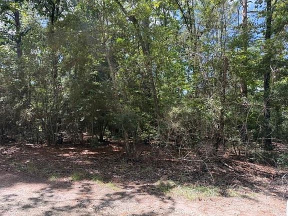 2nd image of Twigwood Dr