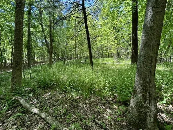 Lot 23 South Badger Lane #23, Arkdale, WI 54613