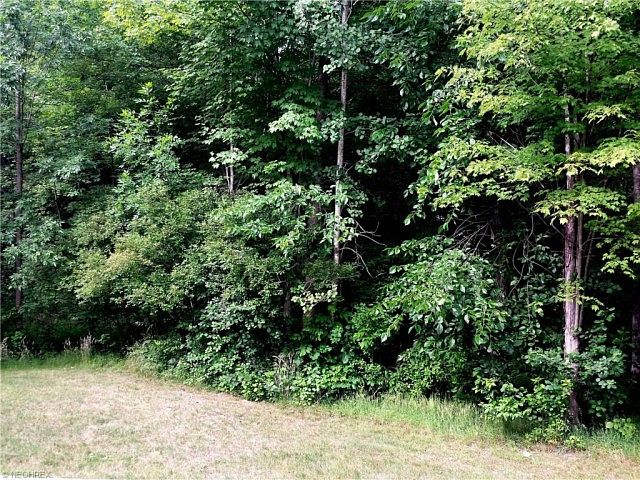 2nd image of 39650 Aurora Rd