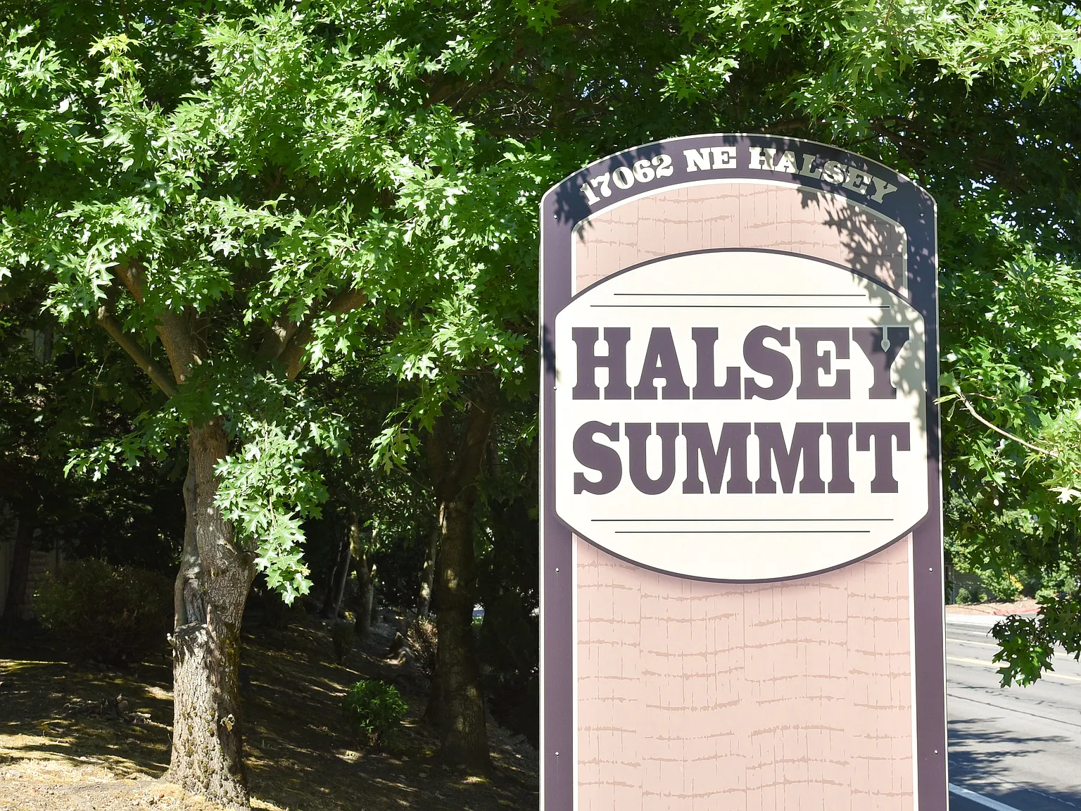 Halsey Summit Apartments — Photo 1