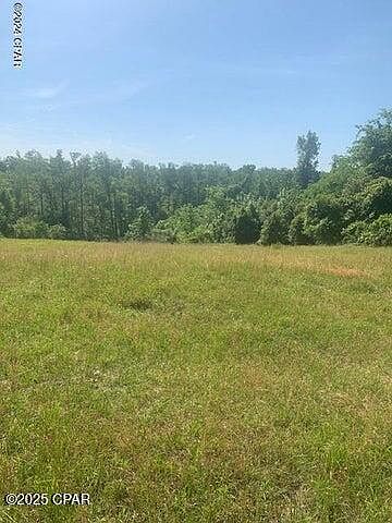 2nd image of 4 Spring Chase Ln