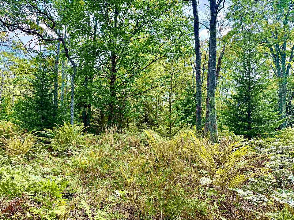 1st image of LOT 9 Chickadee Dr