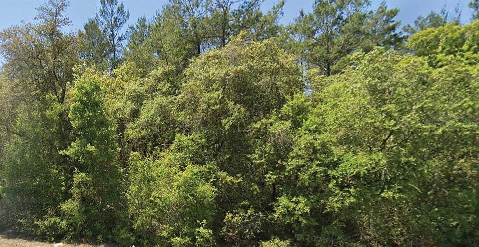 1st image of 0 SE 309 AVENUE LOT 1