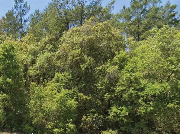 0 SE 309 AVENUE LOT 1, ALTOONA, FL 32702