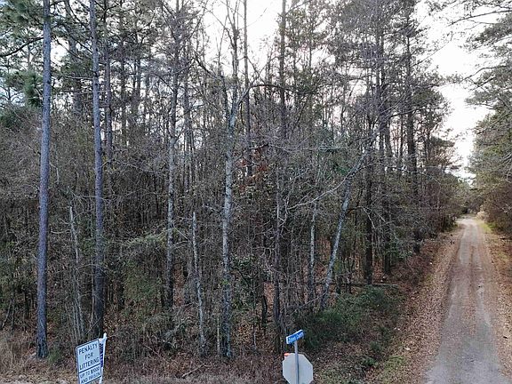 4th image of 0 Jones Country Rd