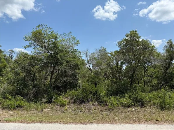 Fisher Loop Lot 11, Ocklawaha, FL 32179