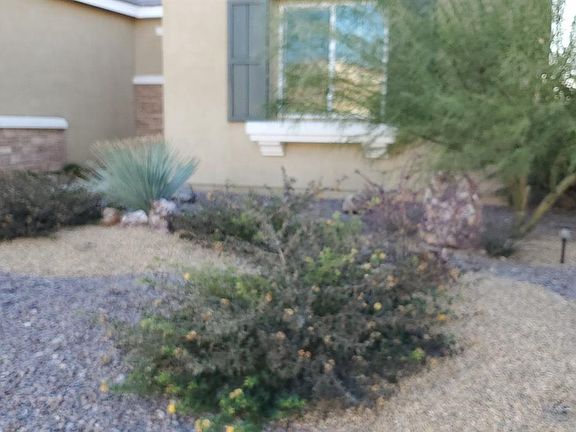 2nd image of 10252 Lakeshore Dr
