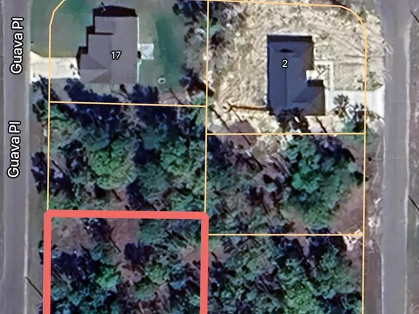 0 Guava Ln #21, Ocklawaha, FL 32179