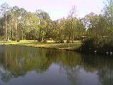 Lake is stocked with a variety of fish