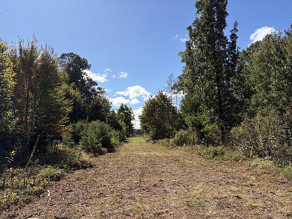 2nd image of Bluebird Trl