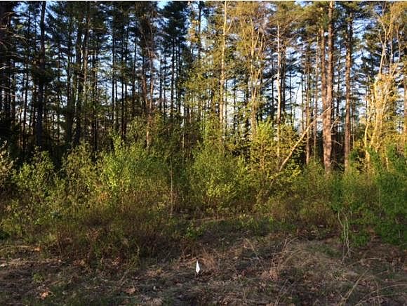 2nd image of 49 Old Milton Rd