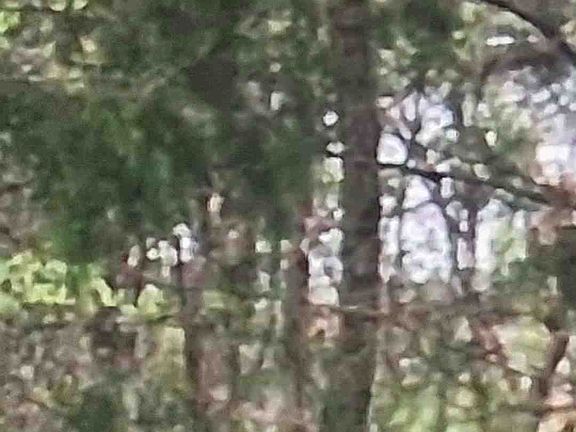 3rd image of 600 Miller Rd
