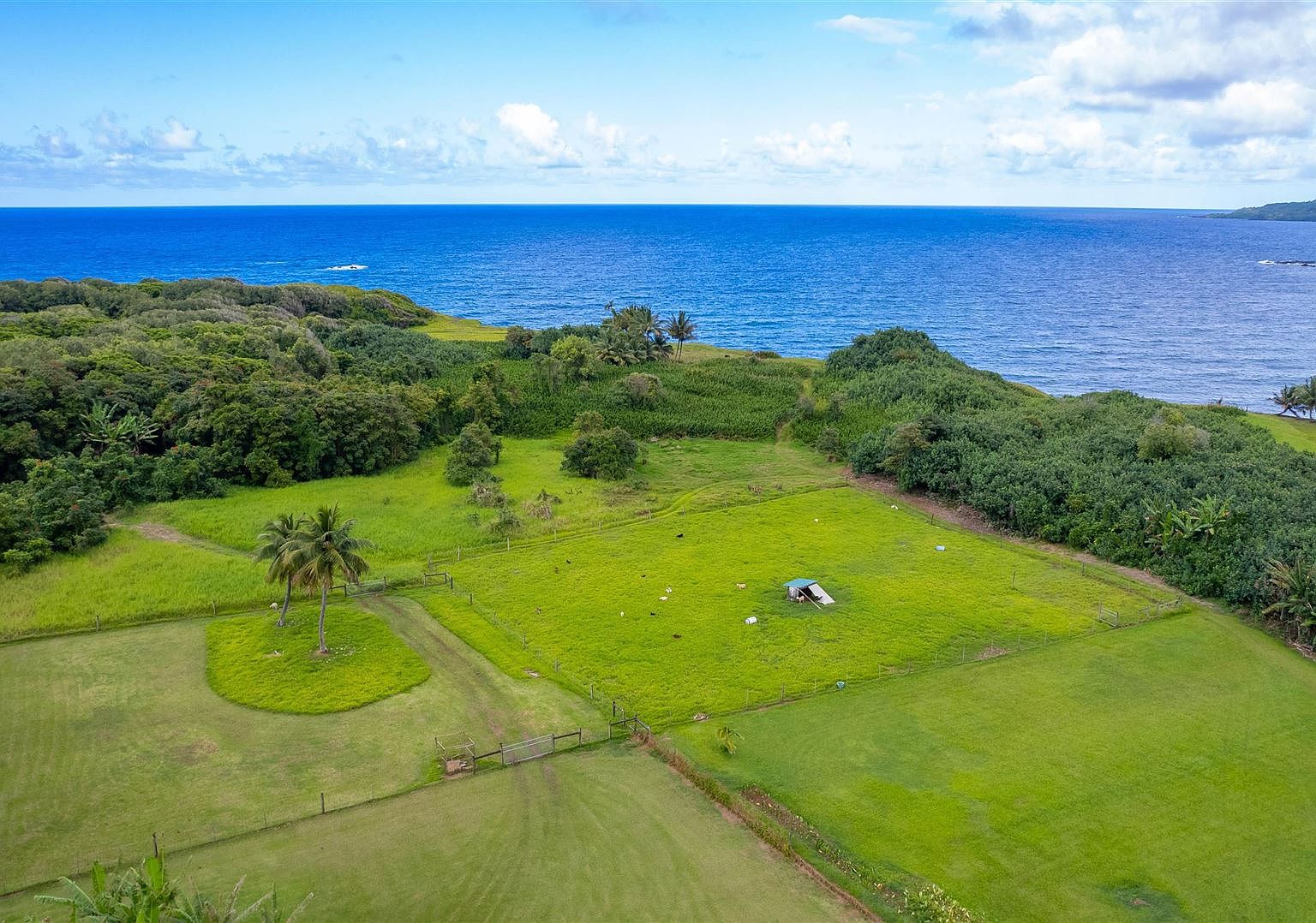 273 Wailua Rd, Haiku, HI 96708 Zillow