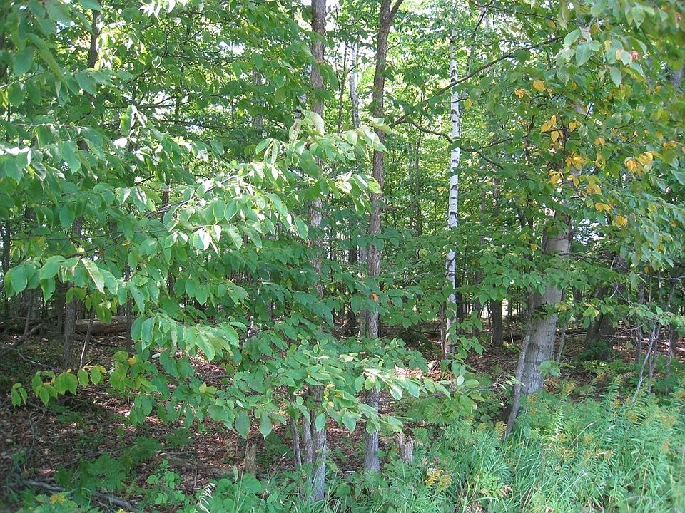 2nd image of County Road T