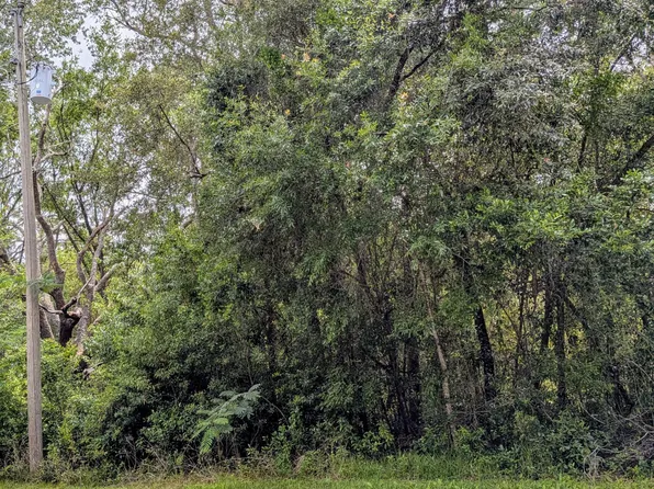 8970 N Joann Drive, Citrus Springs, FL 34434