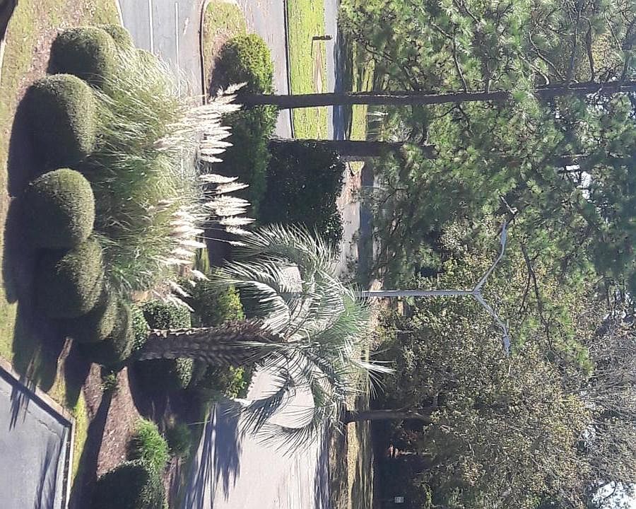 Beautifully kept grounds