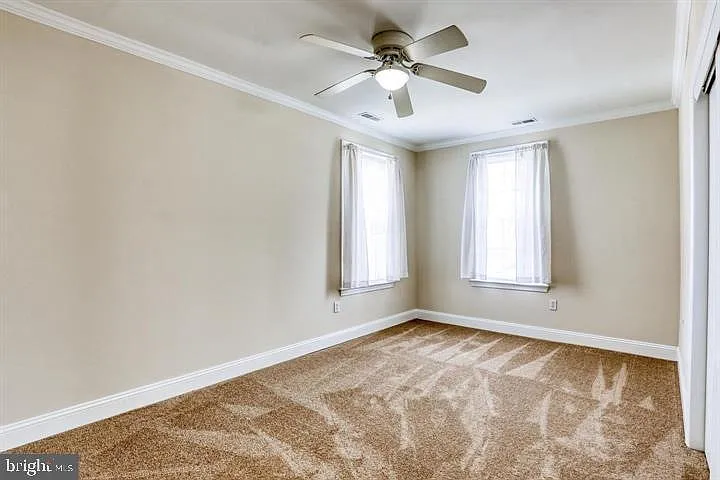 219 Millwood Ave #2 — Photo 7