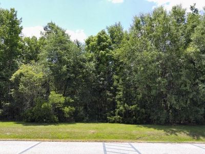 Xx Nw County Rd #12, Bristol, FL, 32321