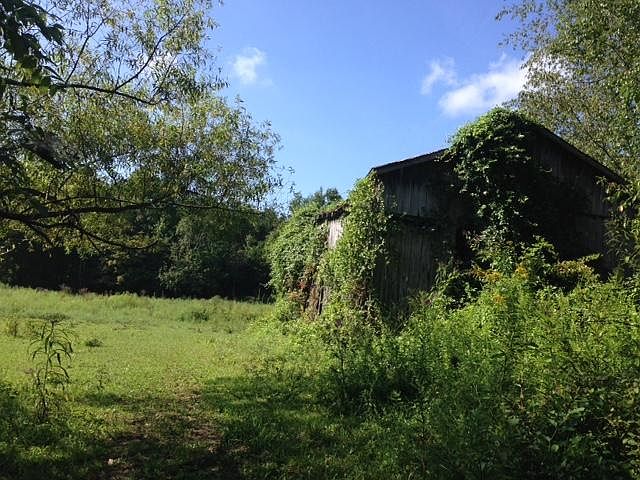 2nd image of 1341 N York Hwy