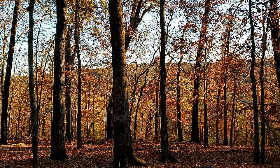 1st image of 00 Aspen Rd