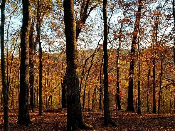 00 Aspen Rd, Nixa, MO 65714