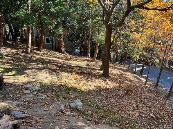 223 Bret Harte Rd, Lake Arrowhead, CA 92352