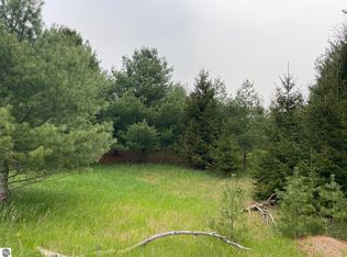 0 Shadynook Rd, Central Lake, MI 49622