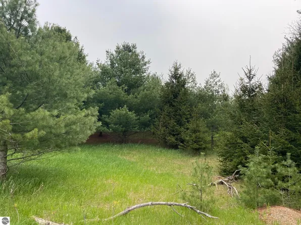 0 Shadynook Rd, Central Lake, MI 49622