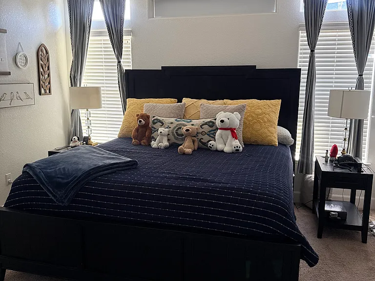 971 Peach Blossom Way — Photo 5