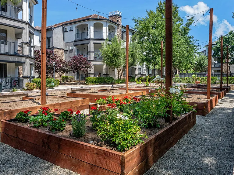 Garden Area Featuring Organized Planting Beds and String Lights