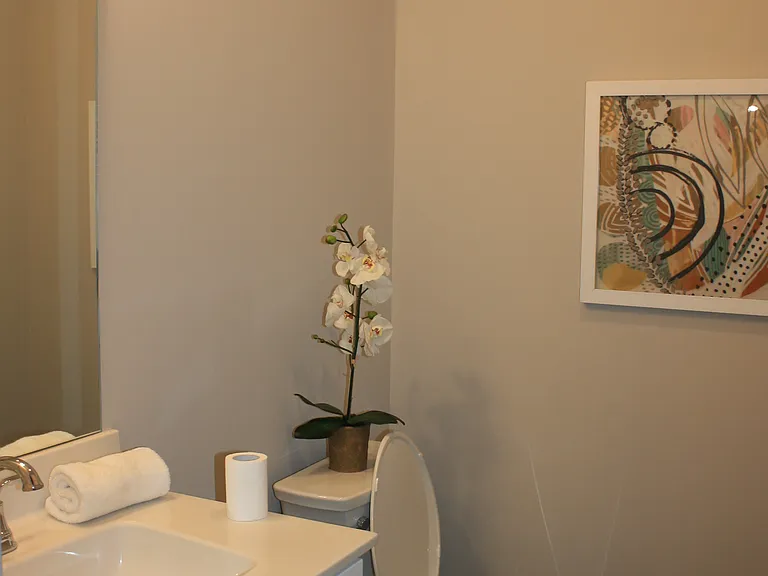 Main level Bathroom
