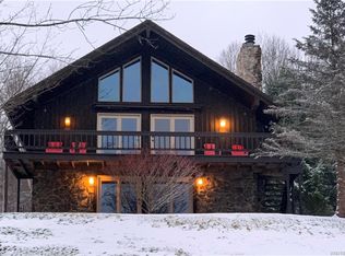 6850 Springs Rd, Ellicottville, NY 14731