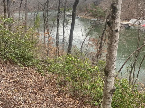 Nona Way Ln, Caryville, TN 37714