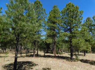 2161 Pine Canyon Dr, Happy Jack, AZ 86024