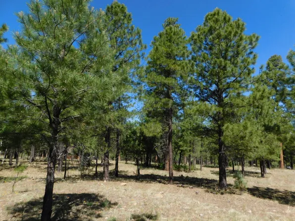 2161 Pine Canyon Dr, Happy Jack, AZ 86024