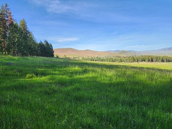 3rd image of Nhn Old Hot Springs Rd