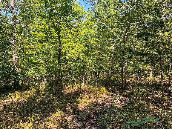 great terrain for building