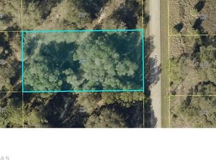 1607 Canton Ave, Lehigh Acres, FL 33972