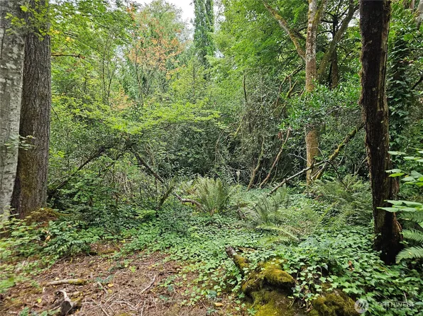 0 Libby Road NE, Olympia, WA 98506